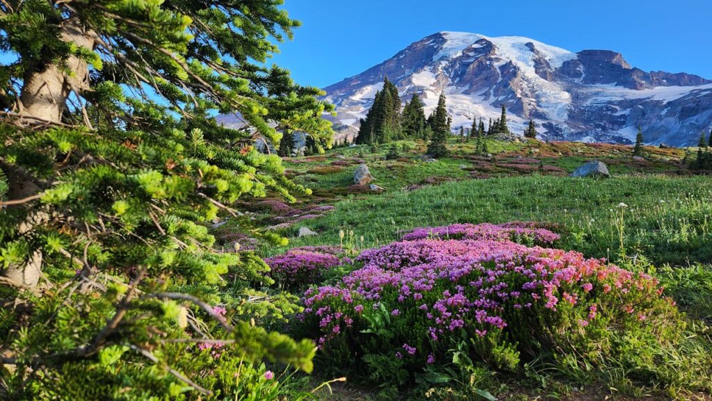 Mount Rainier National Park, Washington