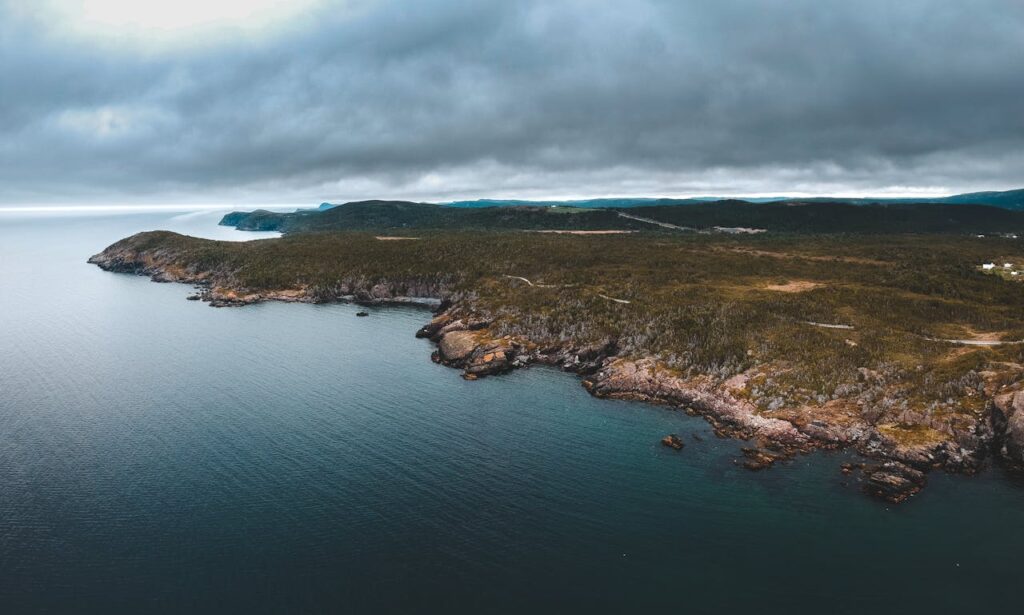Newfoundland forest and coast harsh weather