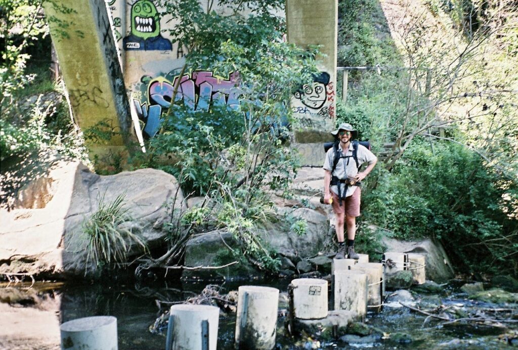 Graffiti on rocks forest