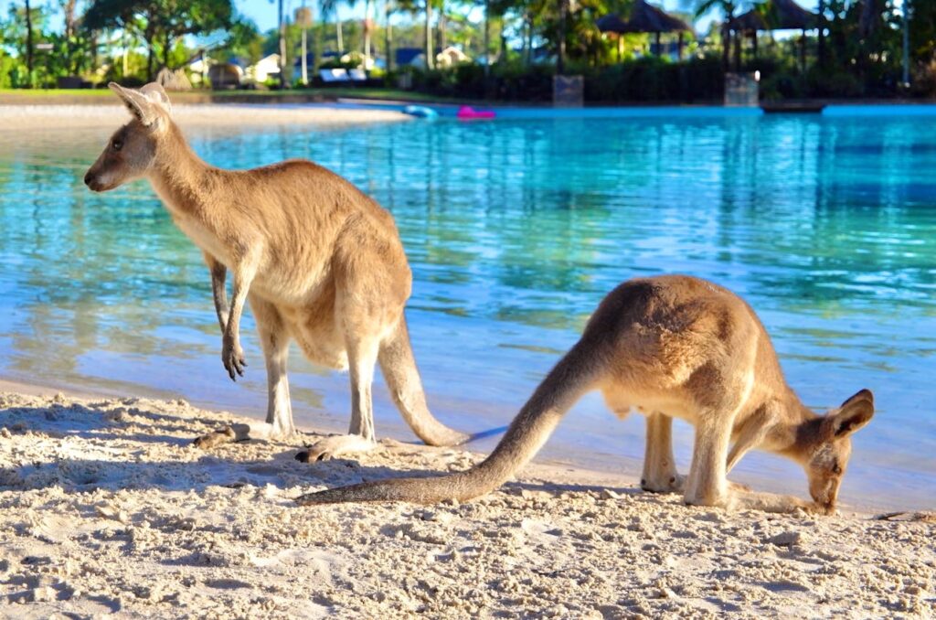 Kangaroo Island, Australia