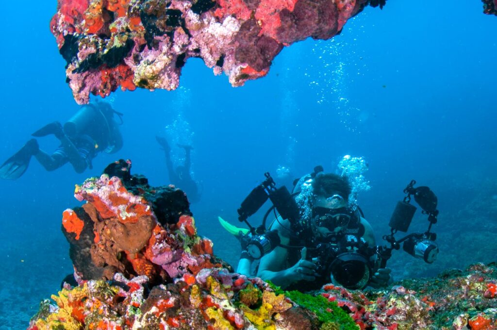 Tubbataha Reefs, Philippines