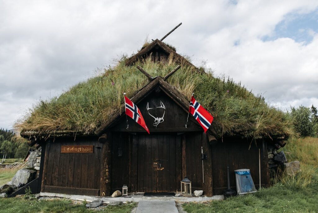 Scandinavia vikings