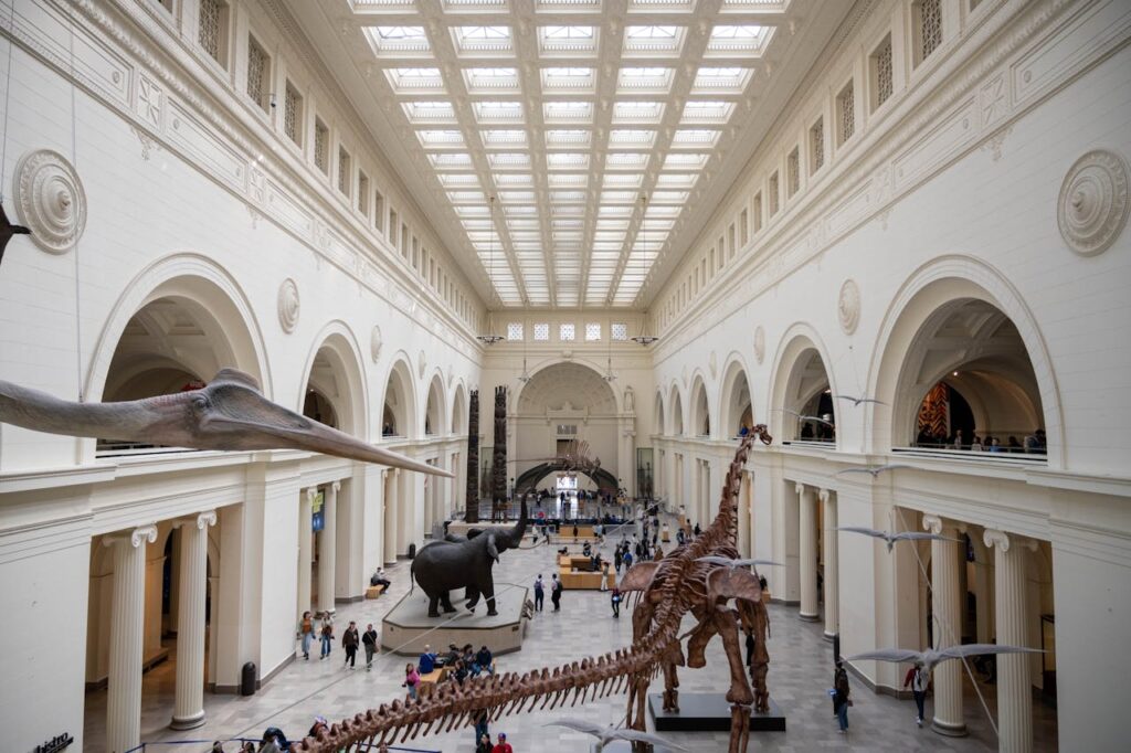 Smithsonian Natural History Museum dinosaur exhibit