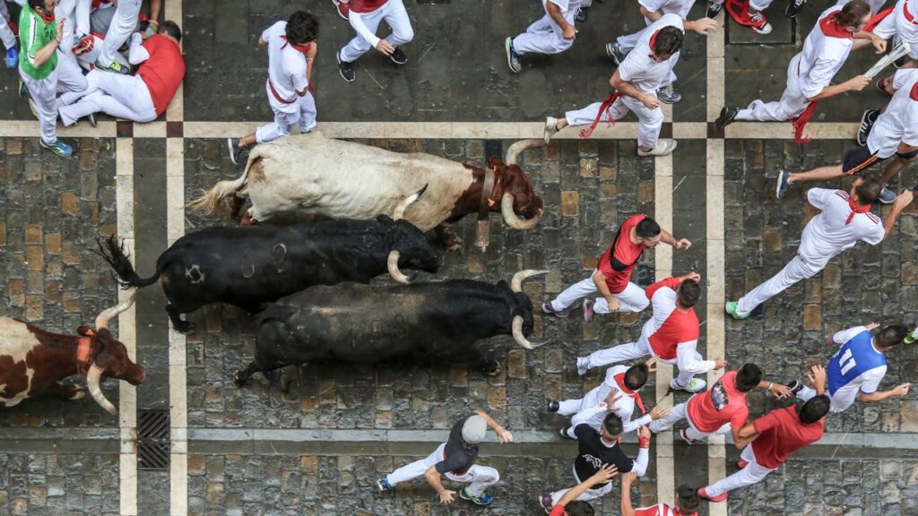 The Running of the Bulls in Pamplona, Spain