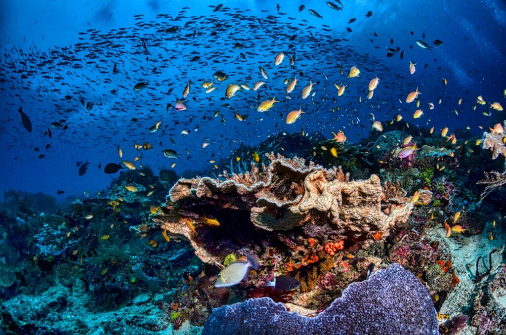 Raja Ampat, Indonesia