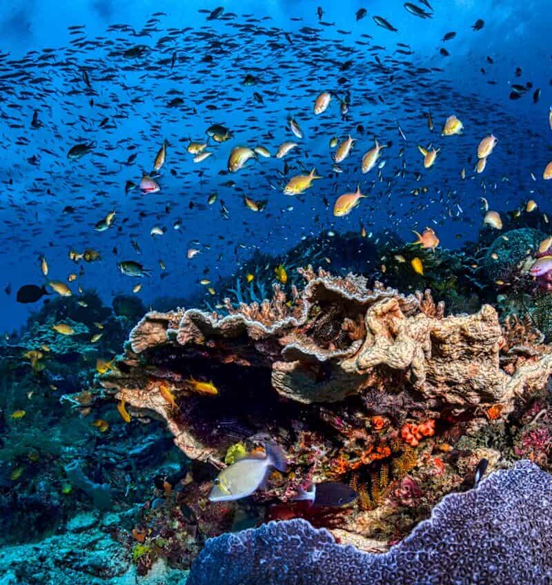 Raja Ampat, Indonesia
