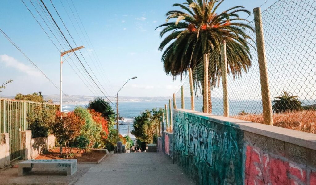 A sunny pathway lined with a chain-link fence and palm trees leads toward the ocean, with colorful foliage and graffiti-covered walls adding vibrant detail to the scene.