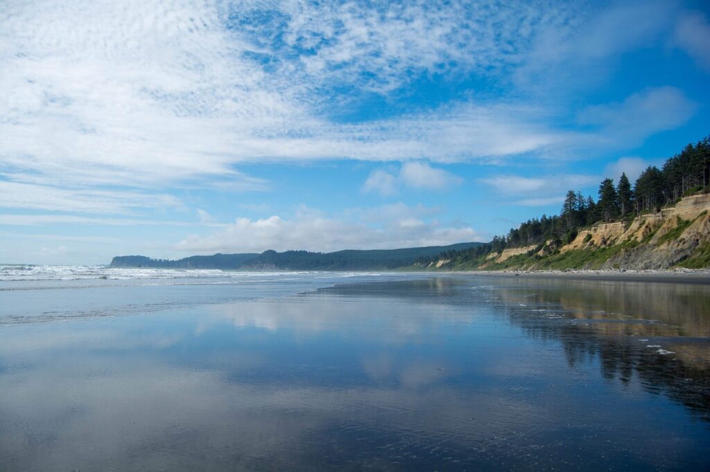 The Oregon Coast