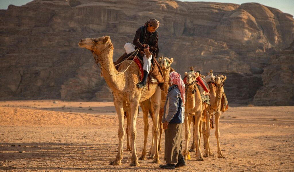 Two men with camels in the Egyptian desert during sunset, showcasing the arid landscape and warm, dry climate.