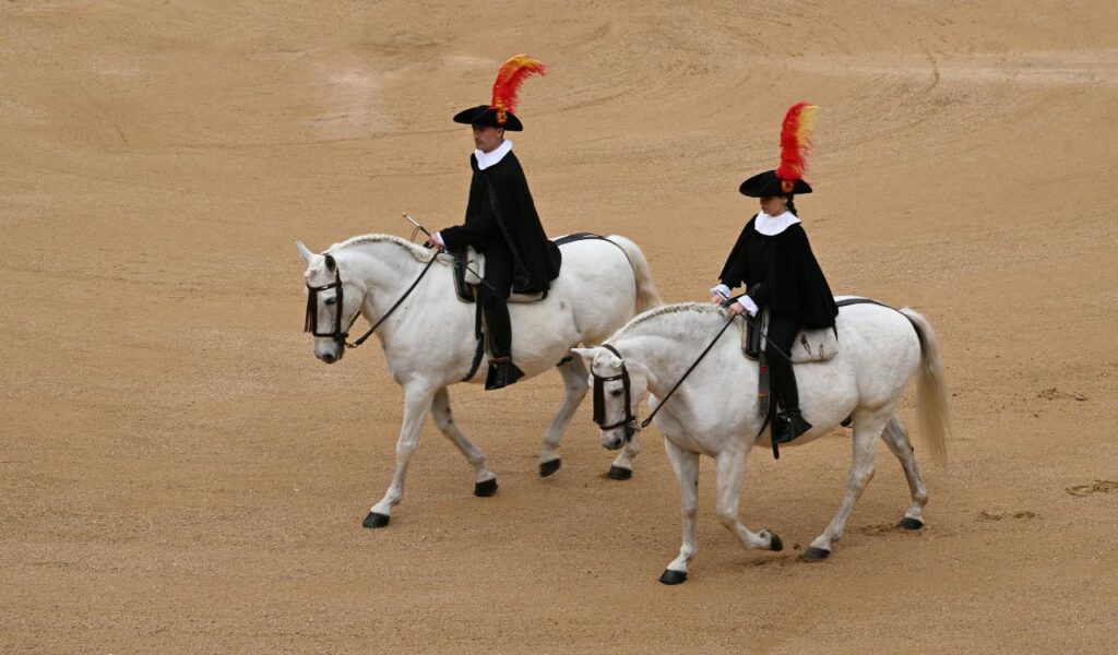 Two riders in traditional uniforms with black cloaks and feathered hats perform on white Lipizzaner horses at the Spanish Riding School in Vienna, Austria.