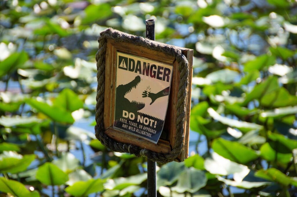Hawaii beach warning signs

