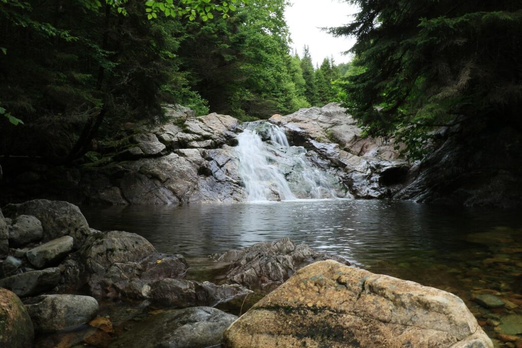 Fundy National Park, New Brunswick