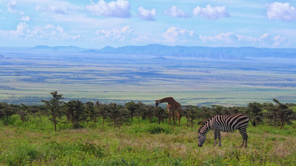 Serengeti National Park, Tanzania