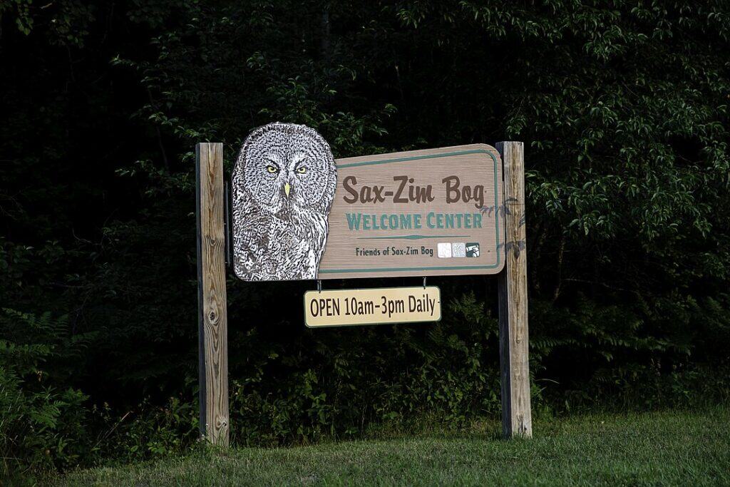 Sax-Zim Bog, Minnesota