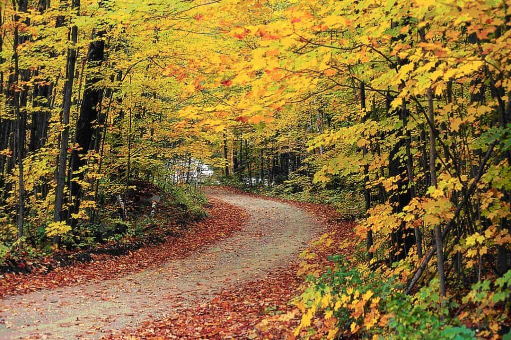 Middlebury Gap Vermont autumn fall foliage Green Mountain National Forest