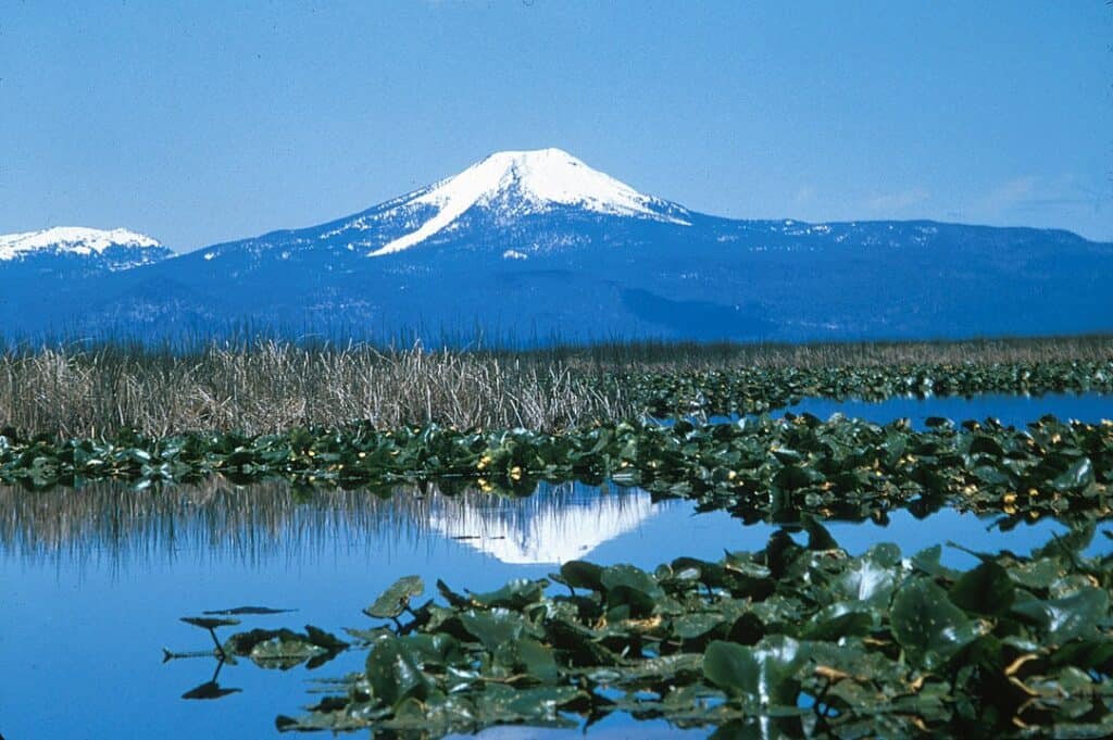 Klamath Basin Refuges, California–Oregon