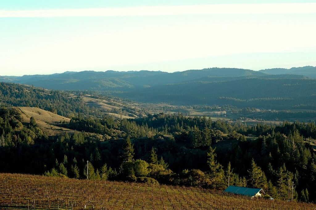 Anderson Valley, Mendocino