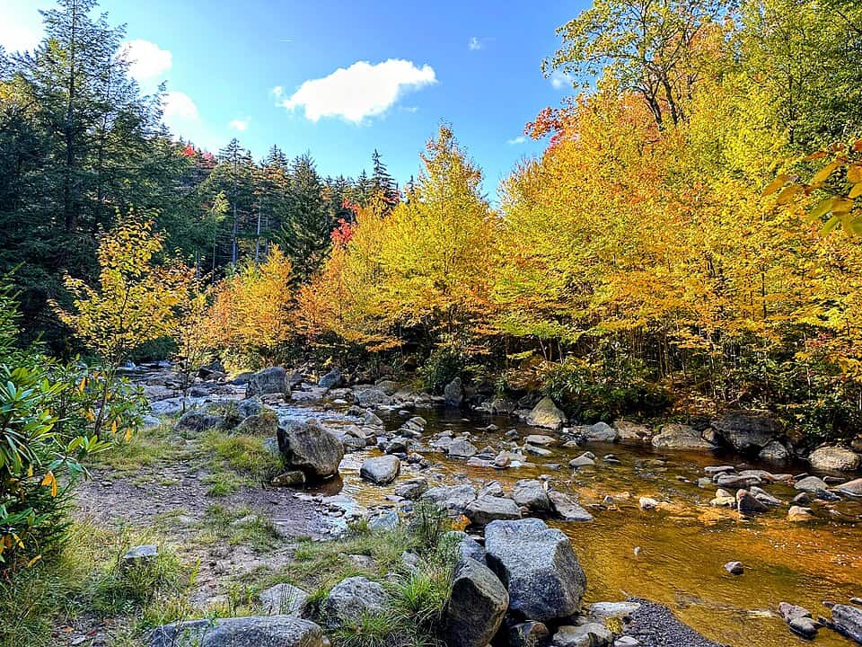 Dolly Sods