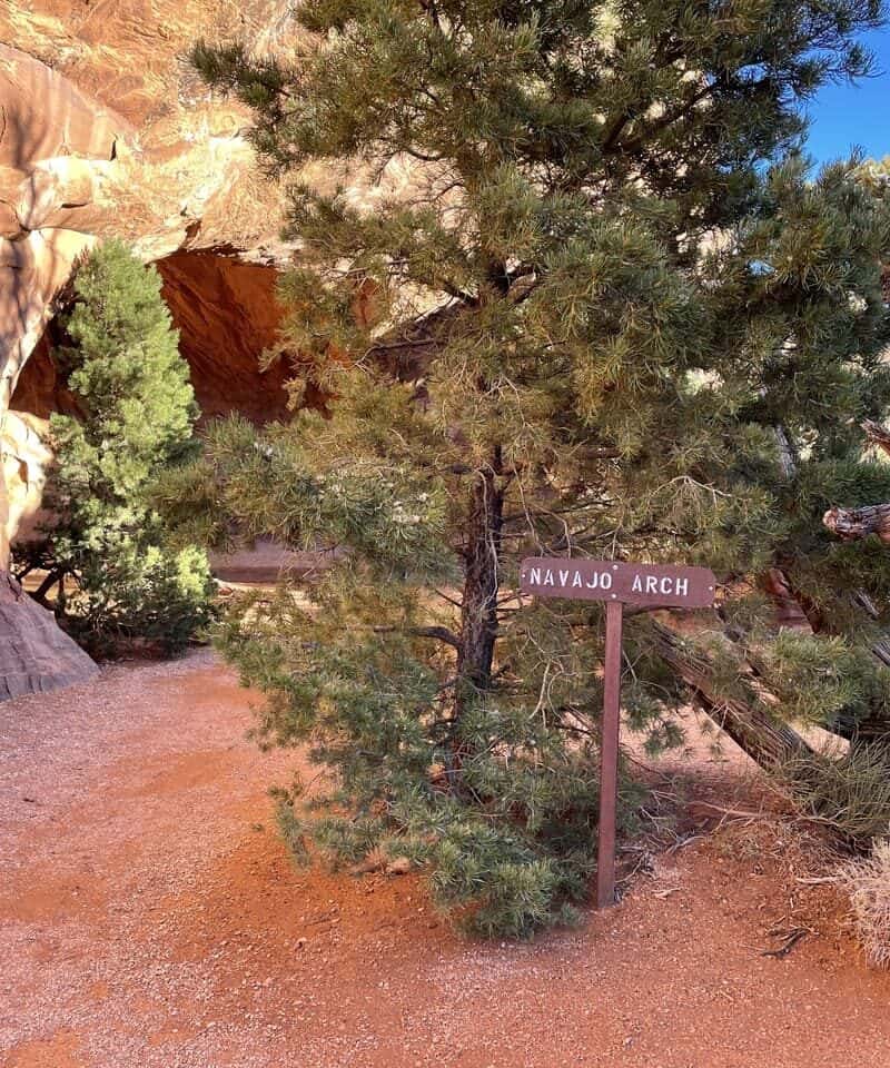 10 U.S. Park Gateways With Timed‑Entry Tips That Actually Help