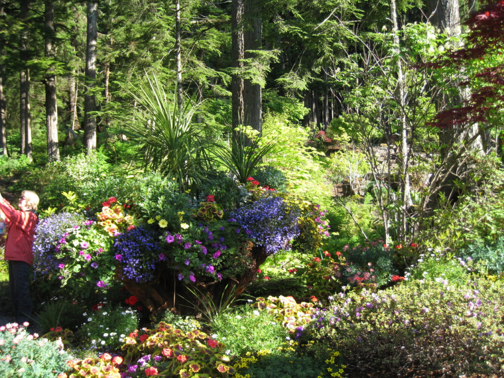 Glacier Gardens Rainforest Adventure