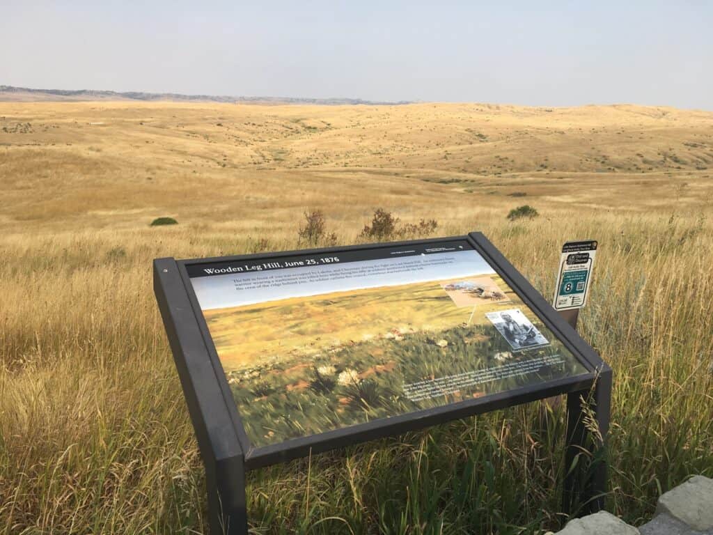 Battle of Little Bighorn, 1876