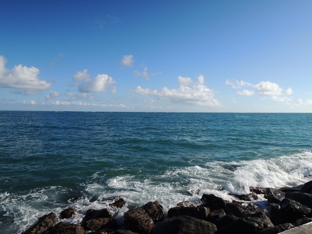 Mosquito Bay, Puerto Rico