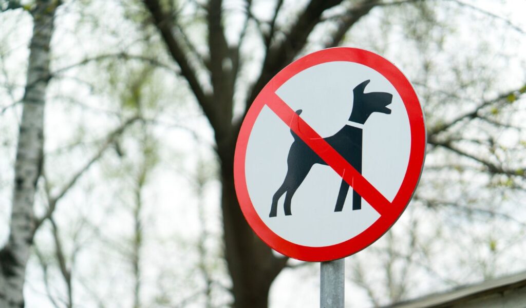 No dogs allowed sign