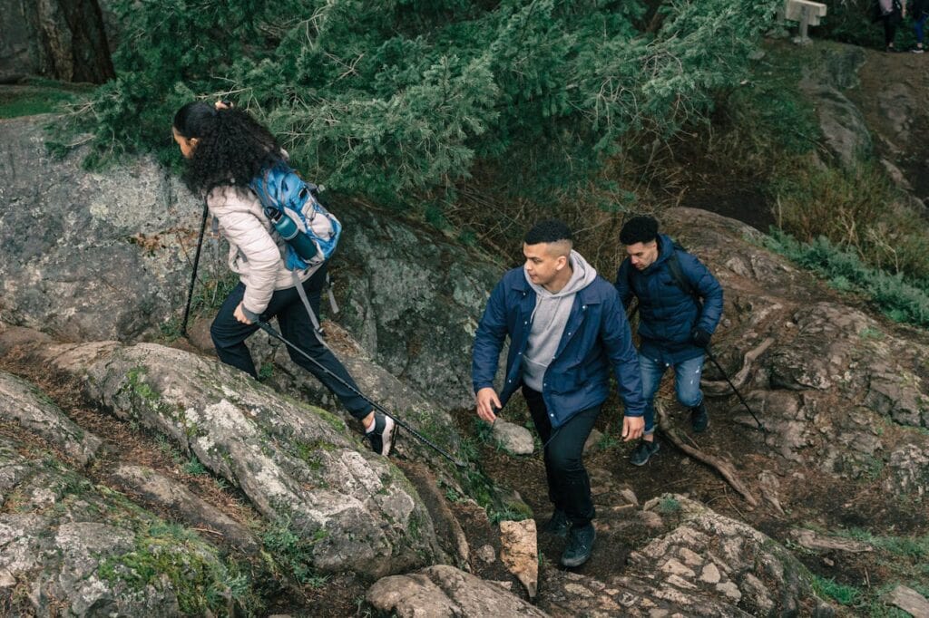 People Hiking in a Forest