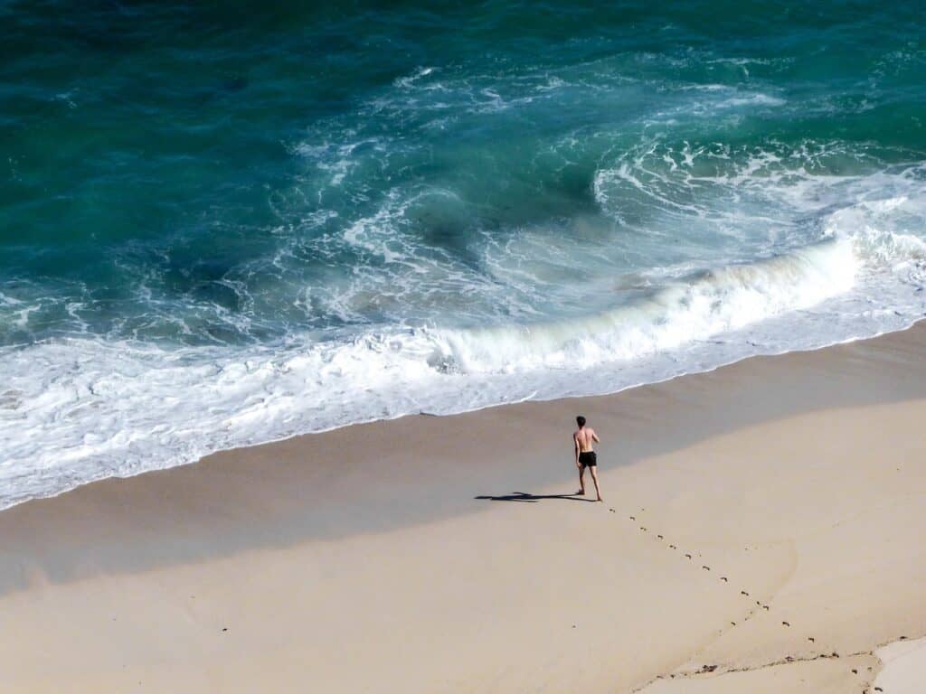 Pristine beach or forest with no footprints.
