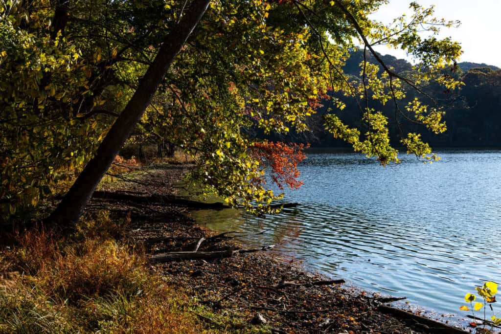 Radnor Lake State Park