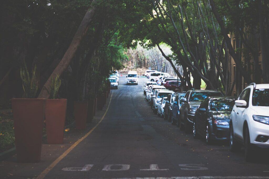 Row of parked cars at a rest stop parking lot