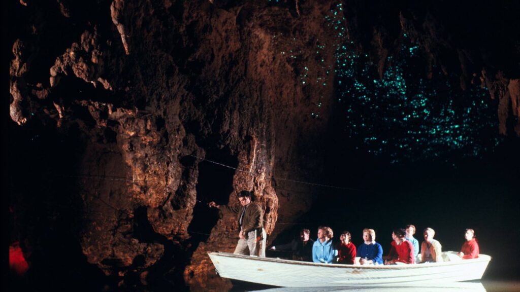 Waitomo Glowworm Caves, New Zealand