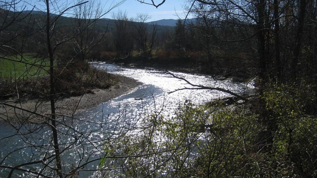 Mad River