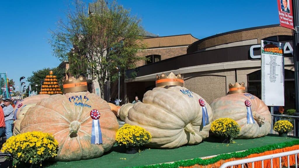 Circleville Pumpkin Show Ohio giant pumpkins forklift parade