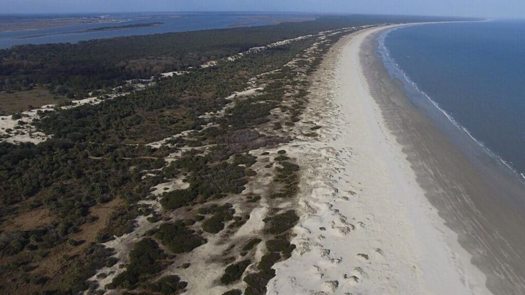 Cumberland Island National Seashore, Georgia