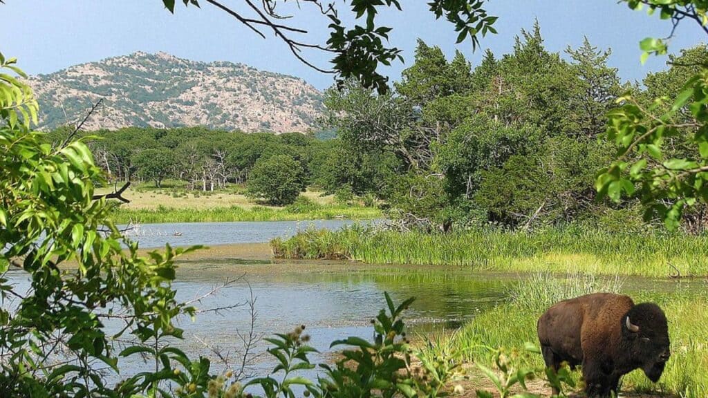 Wichita Mountains Wildlife Refuge, Oklahoma