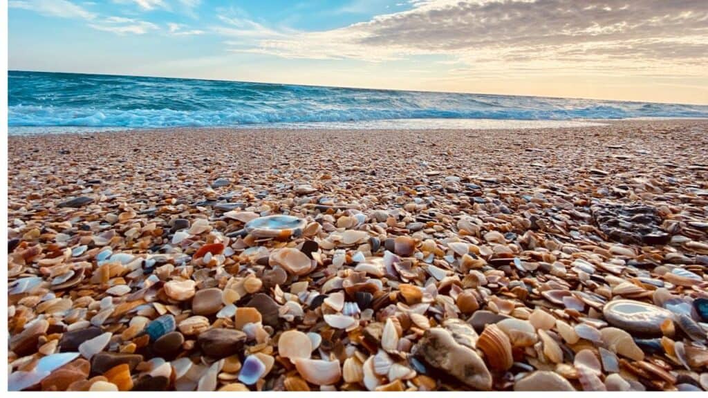 Sand, Pebbles, and Shells