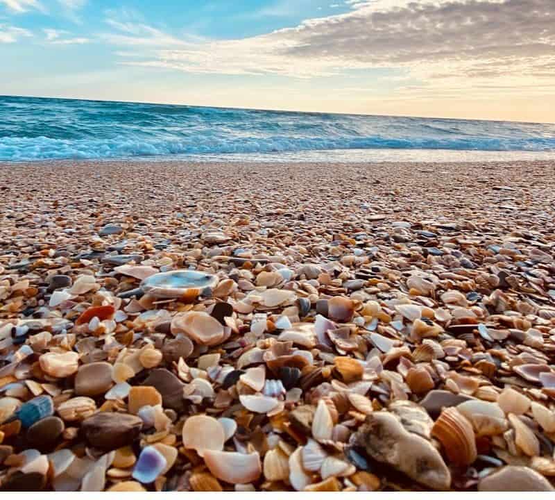 Sand, Pebbles, and Shells