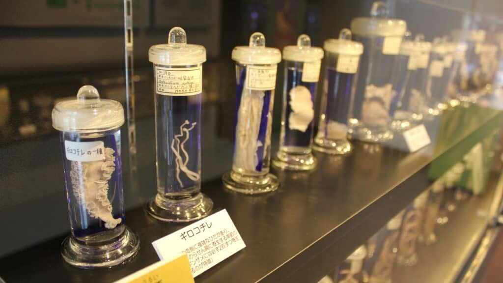 Meguro Parasitological Museum, Tokyo, Japan