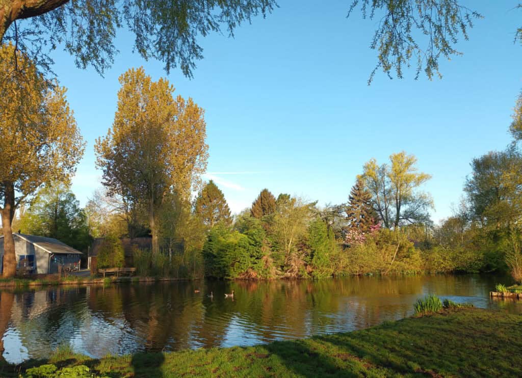 Westerpark-Amsterdam