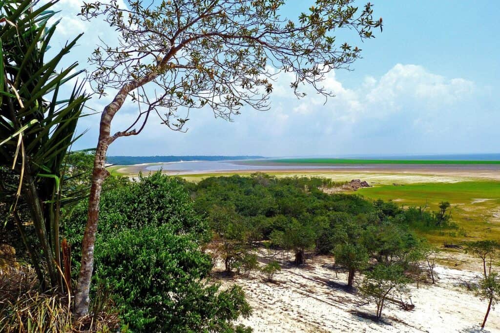 Amazon Rainforest, South America