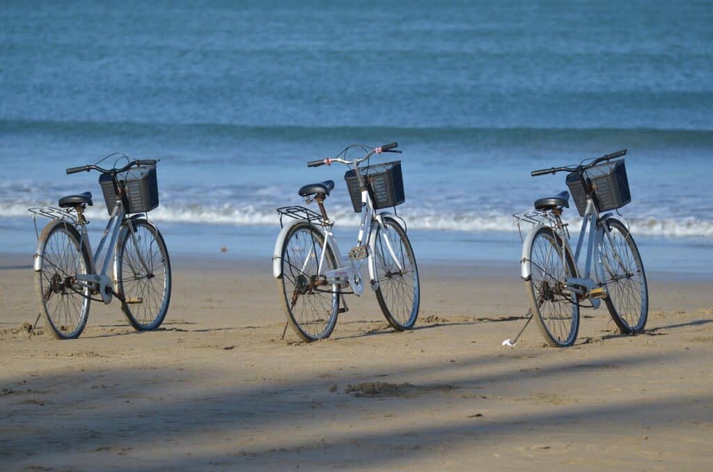 bike-rental-
