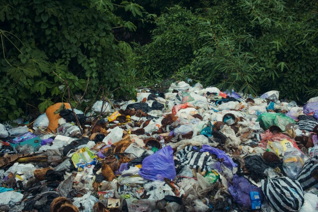 trash dumped in forest illegal littering