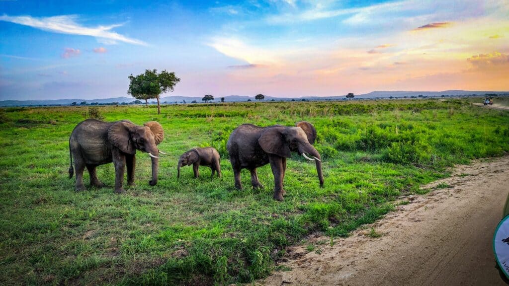 Tanzania