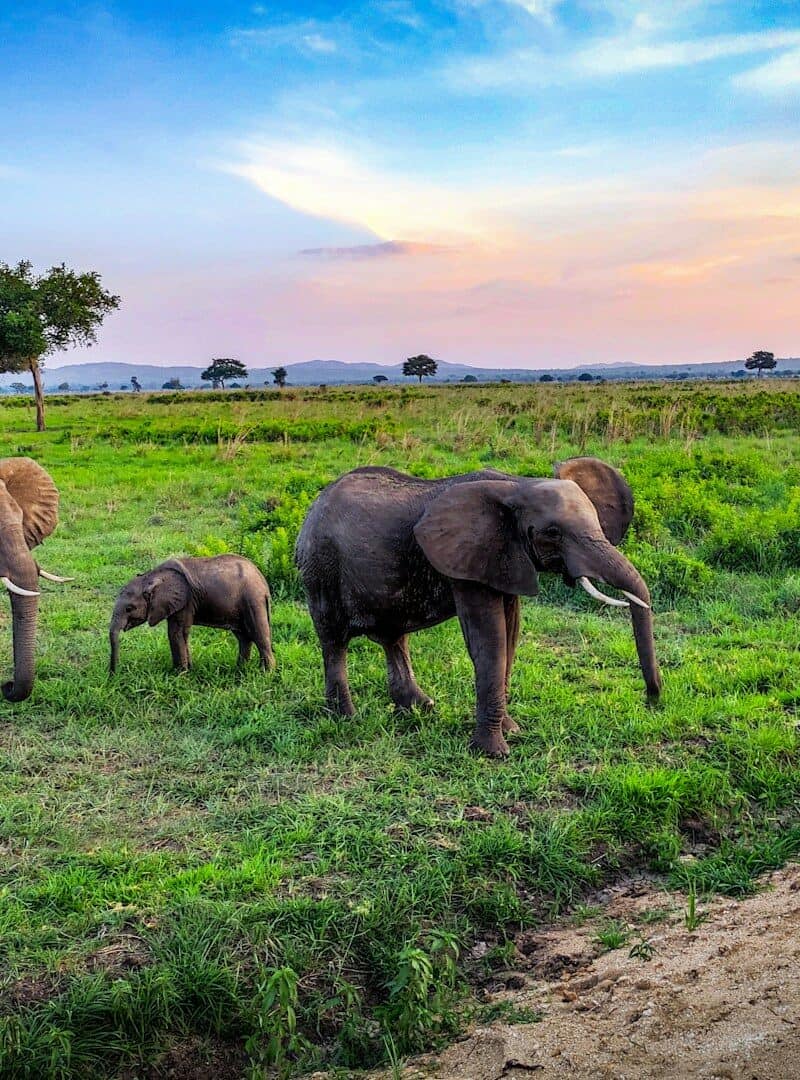 Tanzania