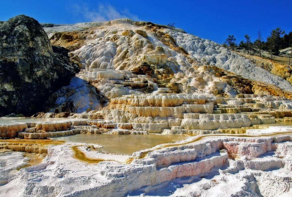 The park’s colorful terraces at Mammoth Hot Springs