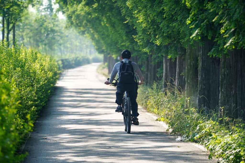 Cycling in the Netherlands