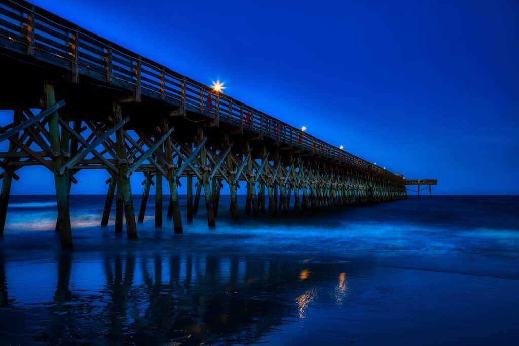 Myrtle beach, South carolina, America image.