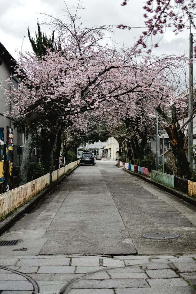 Scenic photo of a quiet street in a rural area