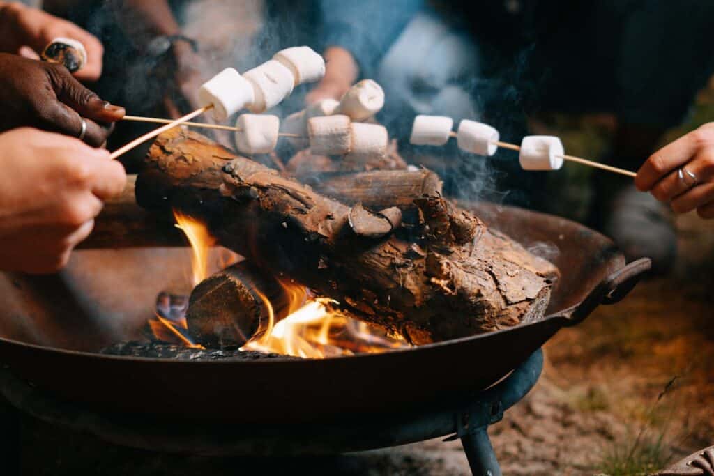 People Roasting Marshmallows
